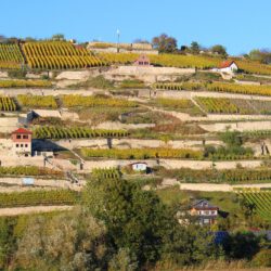 Geheime Orte in Sachsen Anhalt